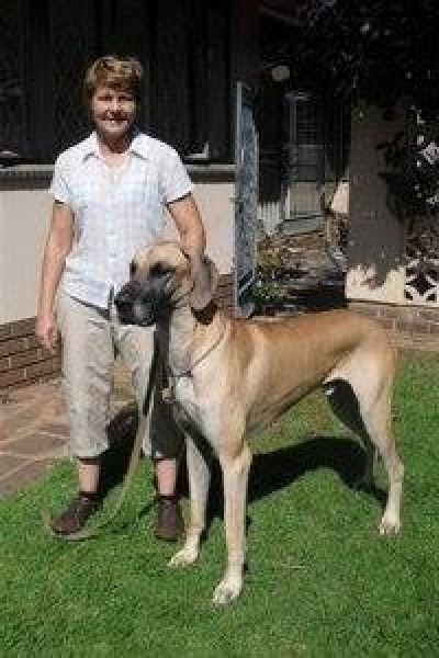 gallery/10534114_425994774207817_1872991870263154446_n